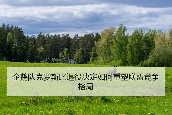 qi-e-dui-ke-luo-si-bi-tui-yi-jue-ding-ru-he-zhong-su-lian-meng-jing-zheng-ge-ju-2-717.jpg