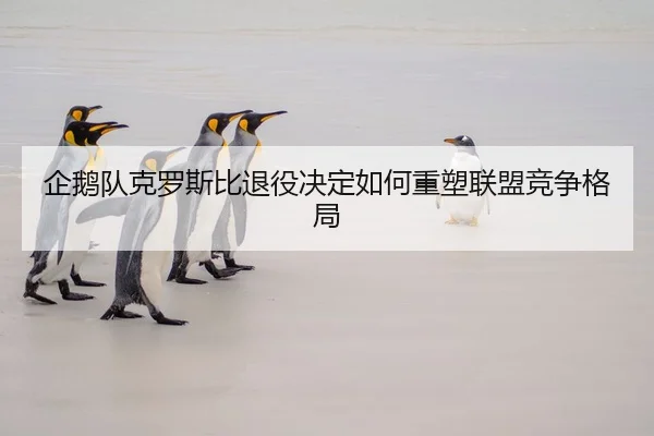 企鹅队克罗斯比退役决定如何重塑联盟竞争格局